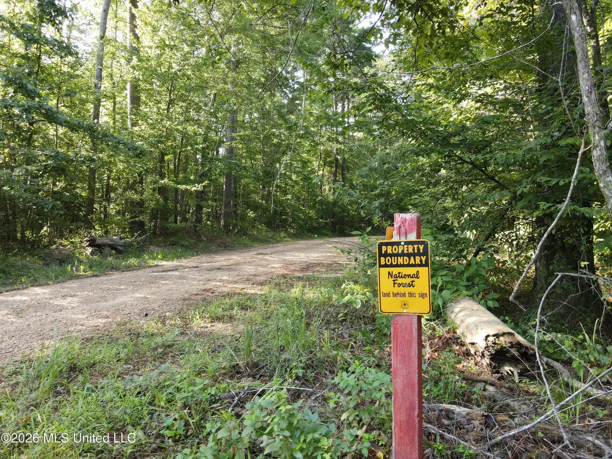 Cupit Road, Union Church, MS 39668 - #1