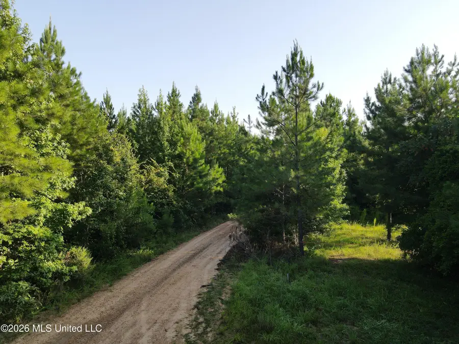 Cupit Road, Union Church, MS 39668 - #2