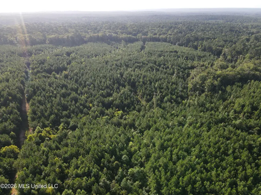 Cupit Road, Union Church, MS 39668 - #3