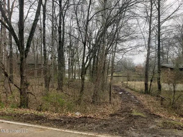 4025 Windermere Drive, Nesbit, MS 38651