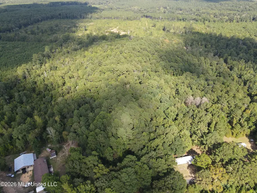 Blanchard Lane, Silver Creek, MS 39663 - #2