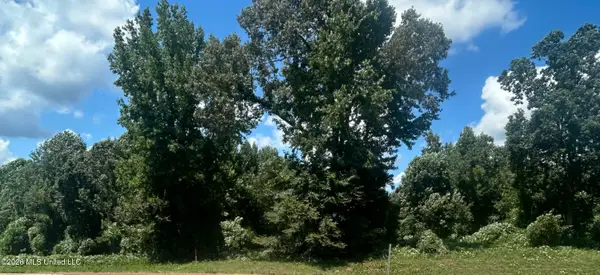 Hwy 72, Walnut, MS 38683