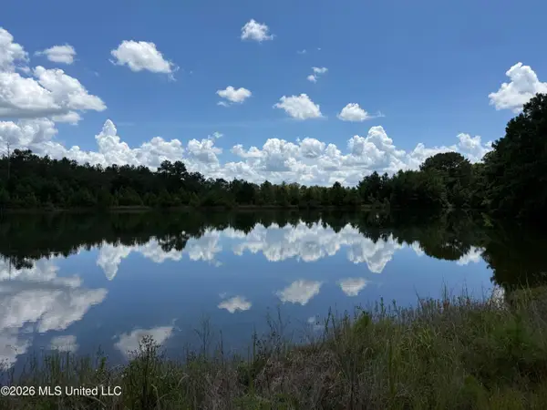 2895 Silver Run Road, Poplarville, MS 39470