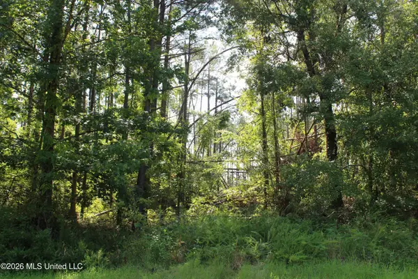 3001 Wilkins Chapel Road, Holly Springs, MS 38635