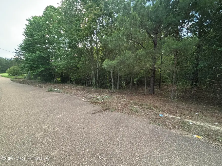 00 Meadow Dr, Byram, MS 39272 - #3