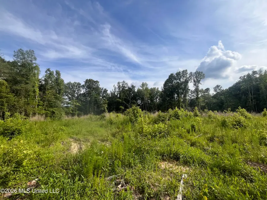 1 Pettey Road, Forest, MS 39074 - #2