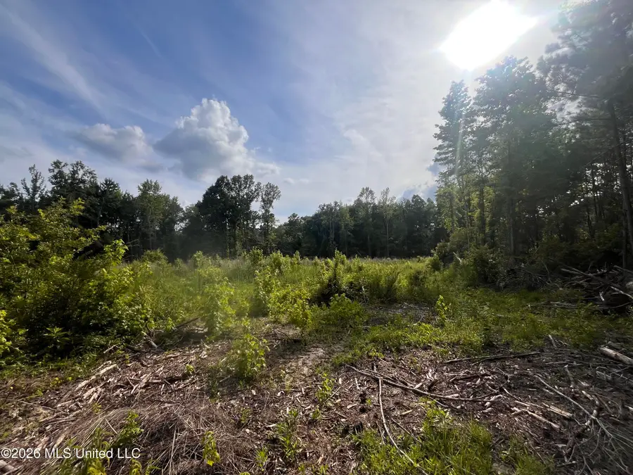 1 Pettey Road, Forest, MS 39074 - #3