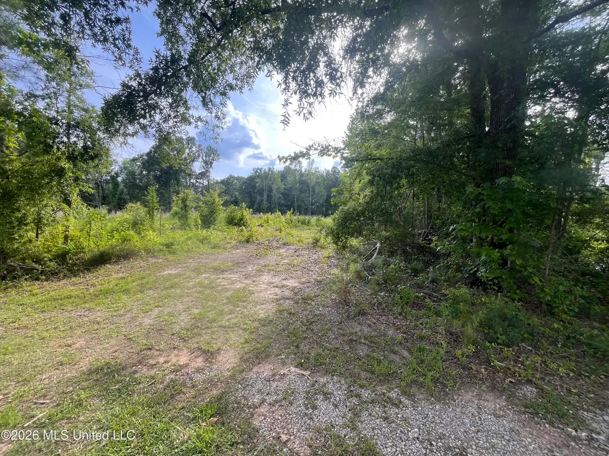 2 Pettey Road, Forest, MS 39074 - #1