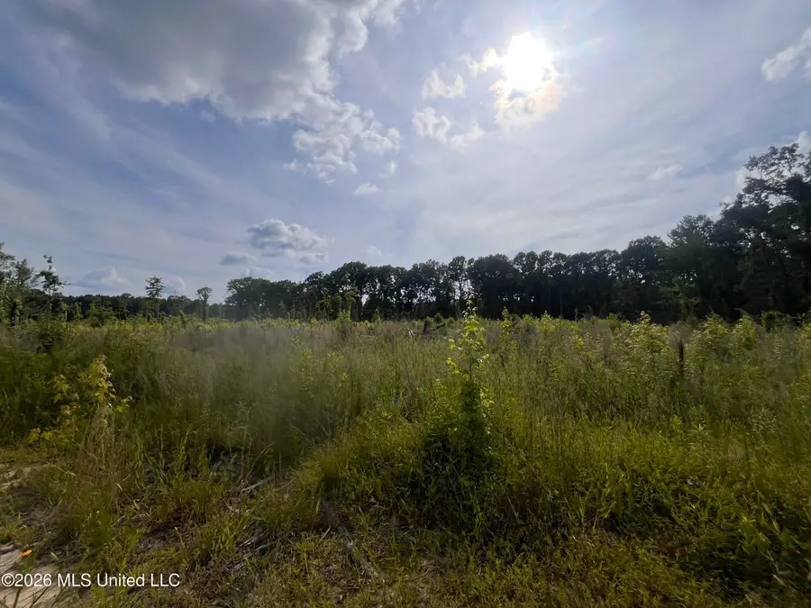 2 Pettey Road, Forest, MS 39074 - #2