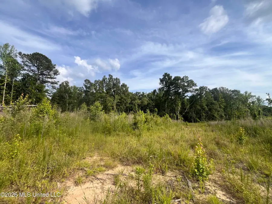 2 Pettey Road, Forest, MS 39074 - #3