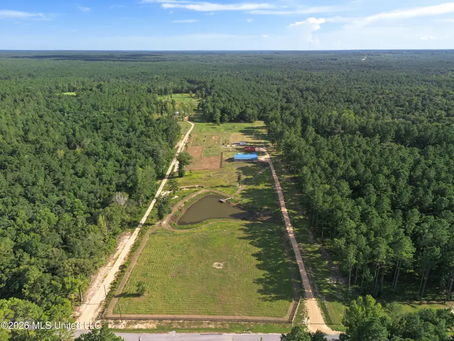 222a Prissie Branch Road, Perkinston, MS 39573 - #2