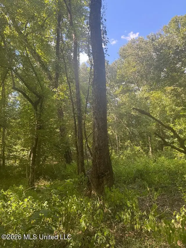 00 Nelson Corner Road, Roxie, MS 39661 - #2