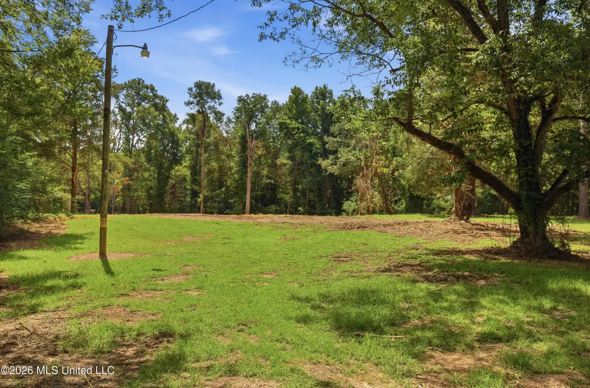478 Potluck Road, Canton, MS 39046 - #1