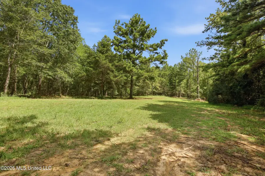 478 Potluck Road, Canton, MS 39046 - #3