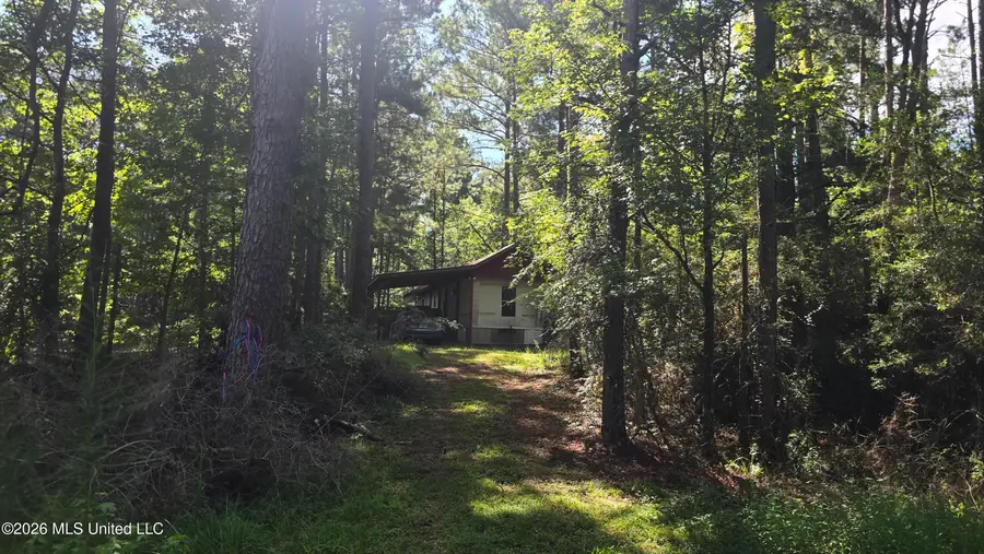 3190 NE Quentin Tower Road, McCall Creek, MS 39647 - #2