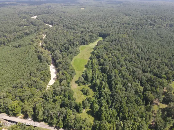 Oldenburg Road, Meadville, MS 39653