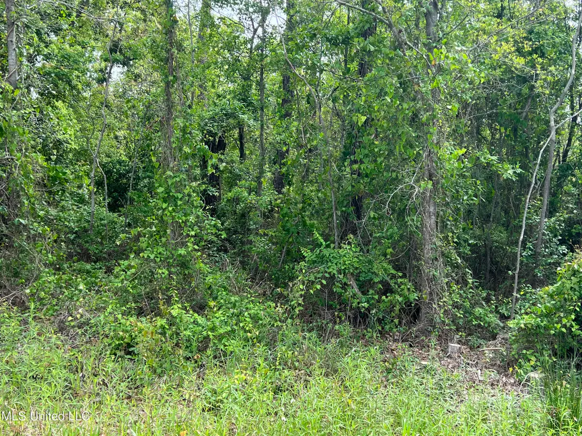 0 Market Street, Pass Christian, MS 39571 - #1