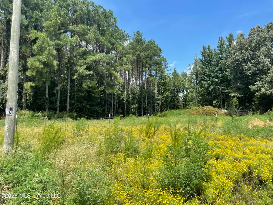 Steward Road, Senatobia, MS 38668 - #2