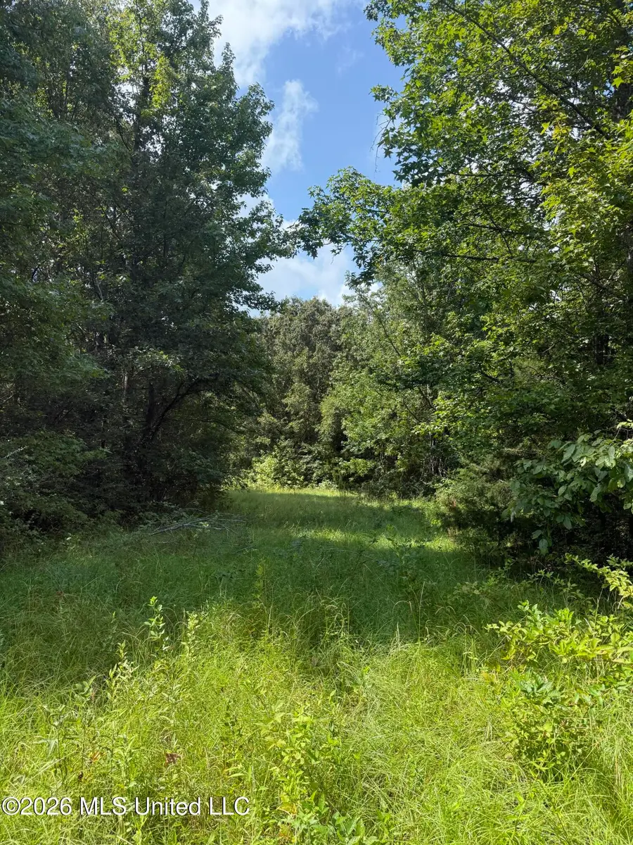 Ebenezer-coxburg Road, Lexington, MS 39095 - #2