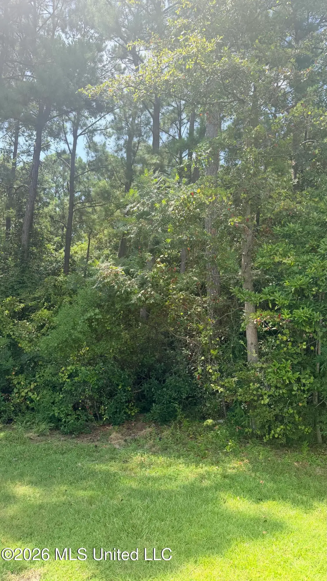 High Ridge Drive, Ocean Springs, MS 39564 - #1