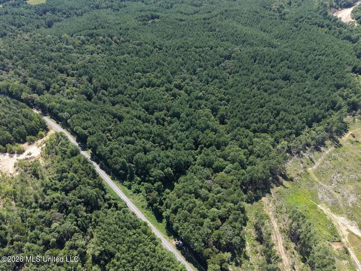 1669 Burt Jordan Road, Meadville, MS 39653 - #1