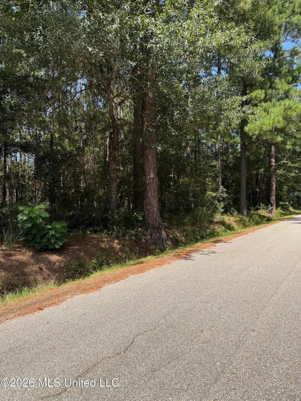 0 W Ridley Street, Bay Saint Louis, MS 39520 - #1