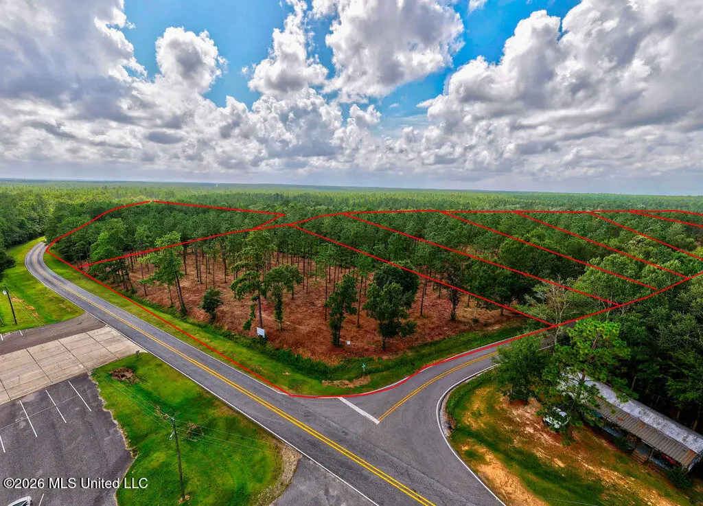 Nhn Lot 6 Ramsey Road, Saucier, MS 39574 - #1