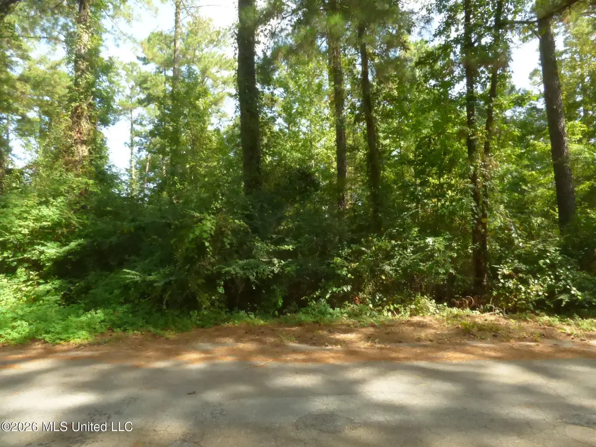Cedar Drive, Monticello, MS 39654 - #1