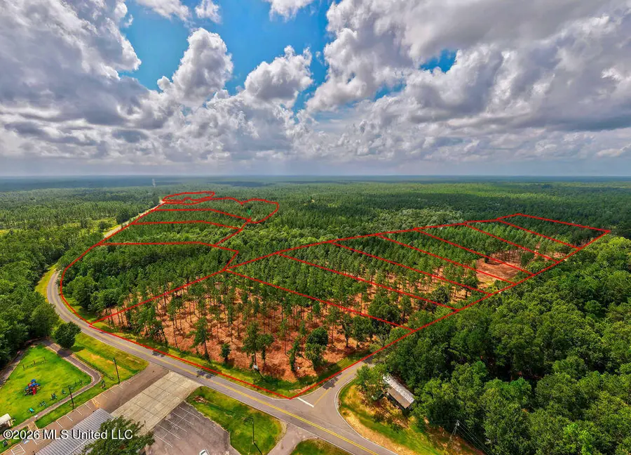 Nhn Lot 8 Bethel Road, Saucier, MS 39574 - #3