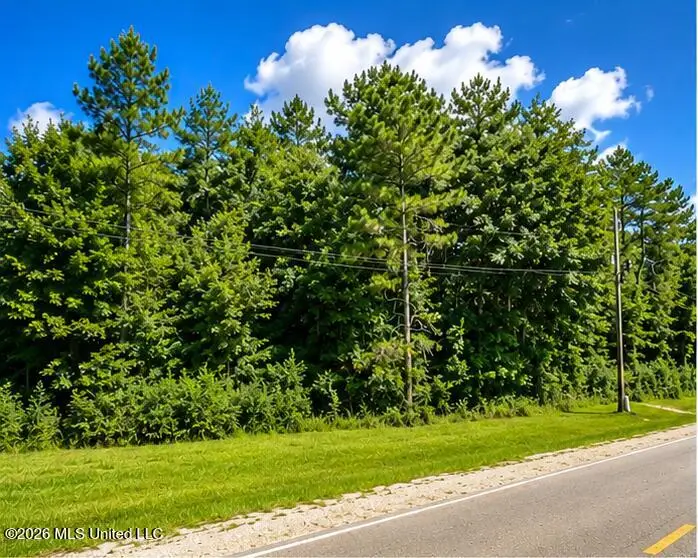 000 W Oak Street, Amite, LA 70422 - #1