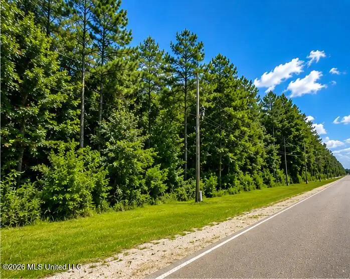 000 W Oak Street, Amite, LA 70422 - #2