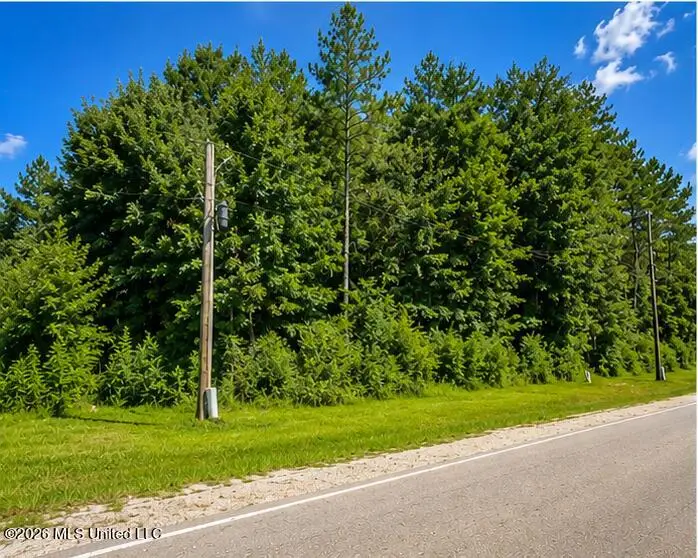 000 W Oak Street, Amite, LA 70422 - #3