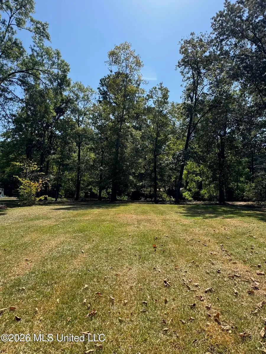 106 Holly Trail, Brandon, MS 39047 - #2