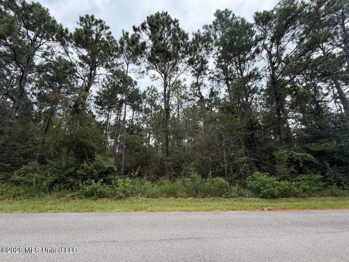 Scott Street, Bay Saint Louis, MS 39520 - #1