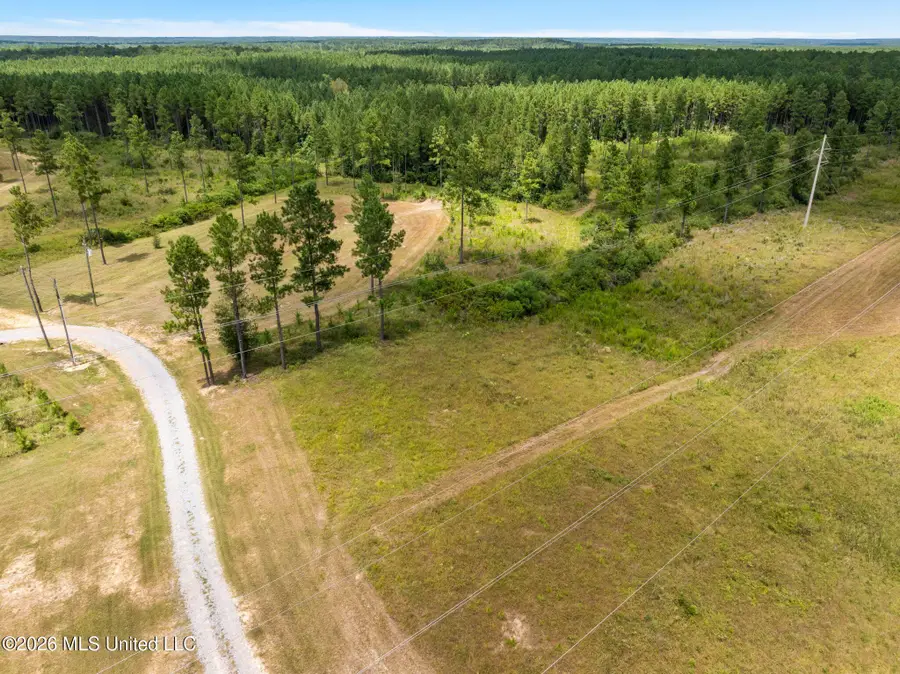 48 Clear Pines Drive, Sumrall, MS 39482 - #3