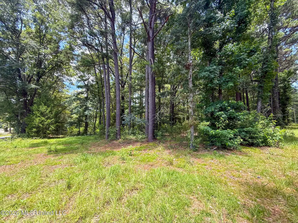 Berthadale Road, McComb, MS 39648 - #1
