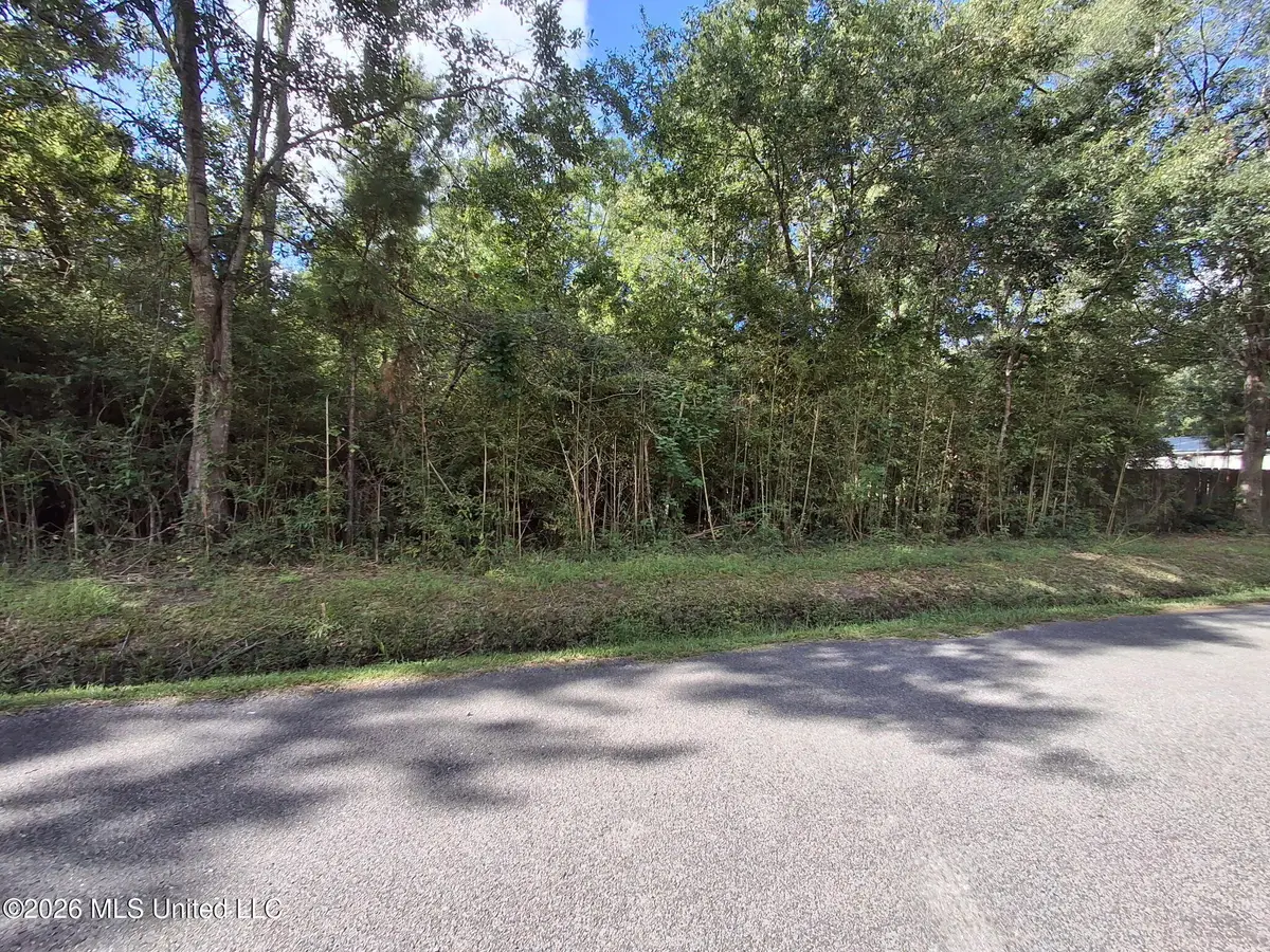 0 Cherry Lot 77-80, Pearlington, MS 39572 - #1