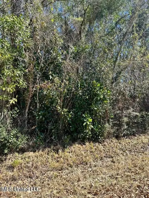 00 Mary Edith Street, Ocean Springs, MS 39564