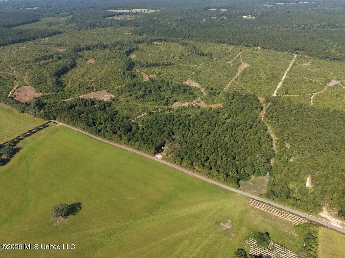 1 Dewitt Lane, Bogalusa, LA 70427 - #1