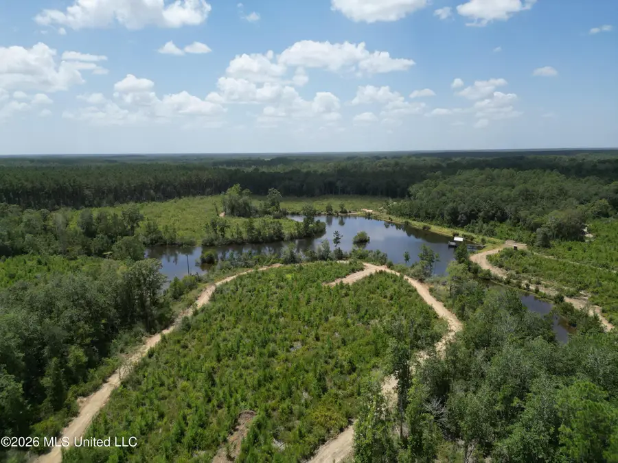 Indian Lane, Vancleave, MS 39565 - #3