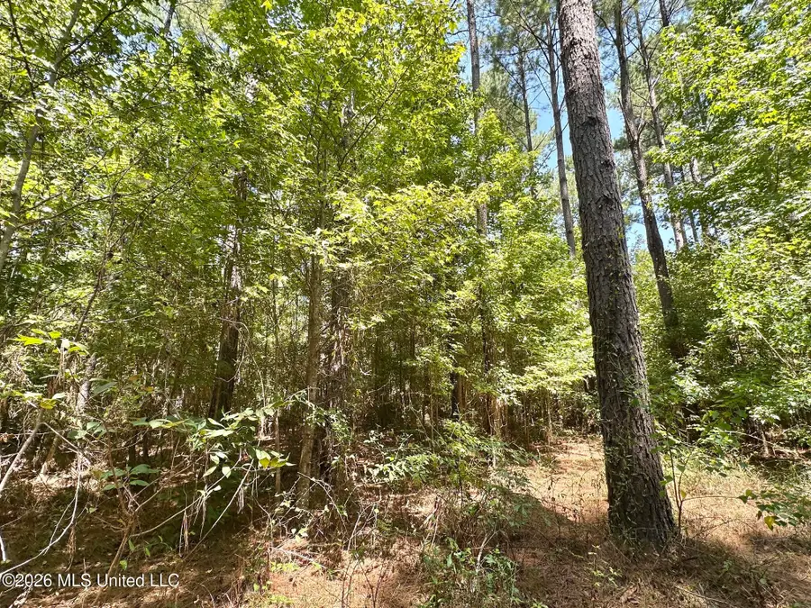 2 County Road 24, Enterprise, MS 39330 - #2