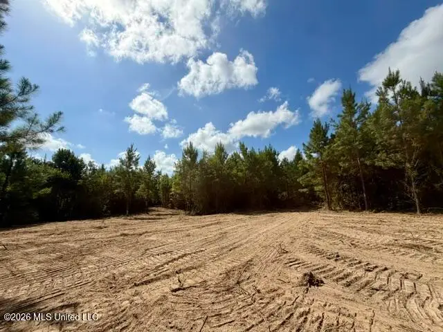 Robert Bateman Road, Franklinton, LA 70438 - #3