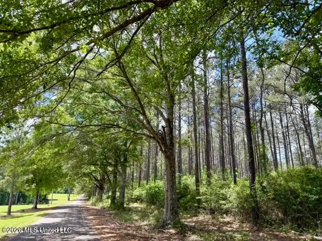 000 Old State Line Road, Tylertown, MS 39667 - #2