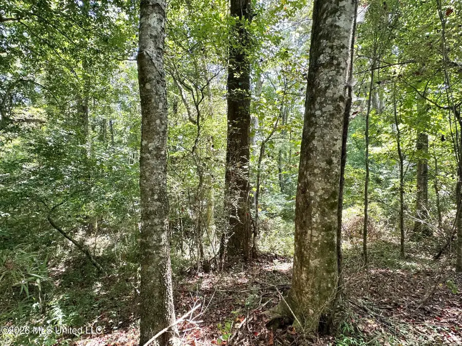 3 County Road 24, Enterprise, MS 39330 - #2