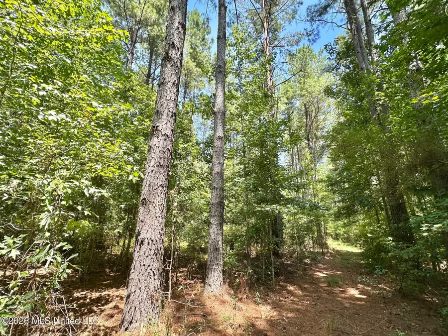5 County Road 24, Enterprise, MS 39330 - #2