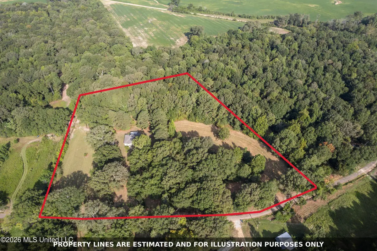 1194 Tom Kyzar Road, Morton, MS 39117 - #1