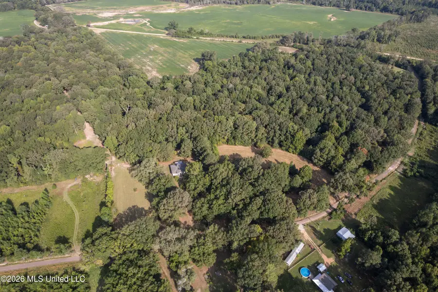 1194 Tom Kyzar Road, Morton, MS 39117 - #2