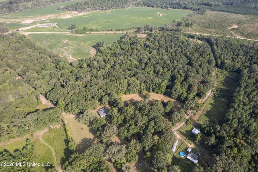 1194 Tom Kyzar Road, Morton, MS 39117 - #3