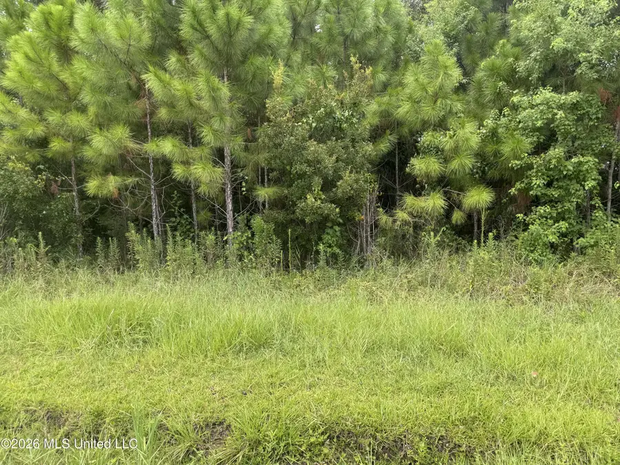 Sycamore Street, Waveland, MS 39576 - #3