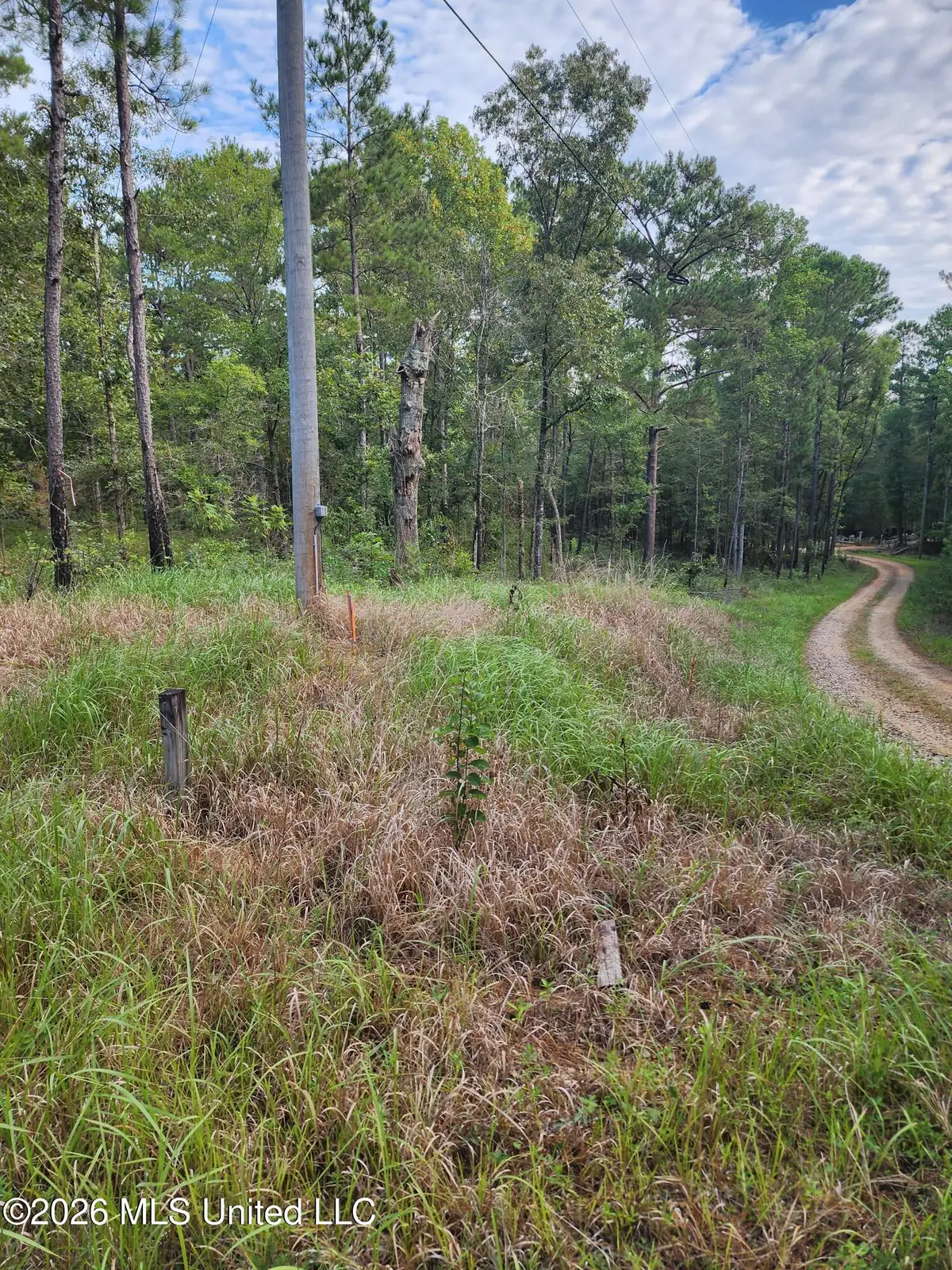 Dogwood Lane, Poplarville, MS 39470 - #1